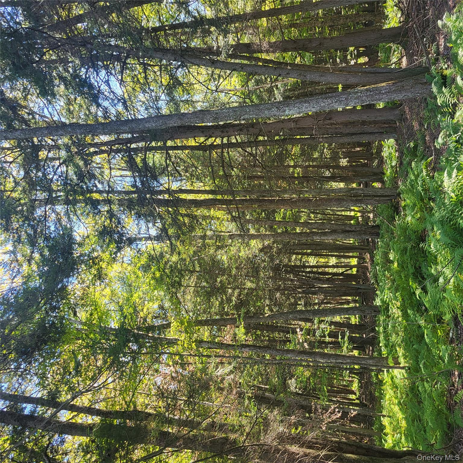 #7 photo, TBD Stephenson Road, Swan Lake , NY 12720