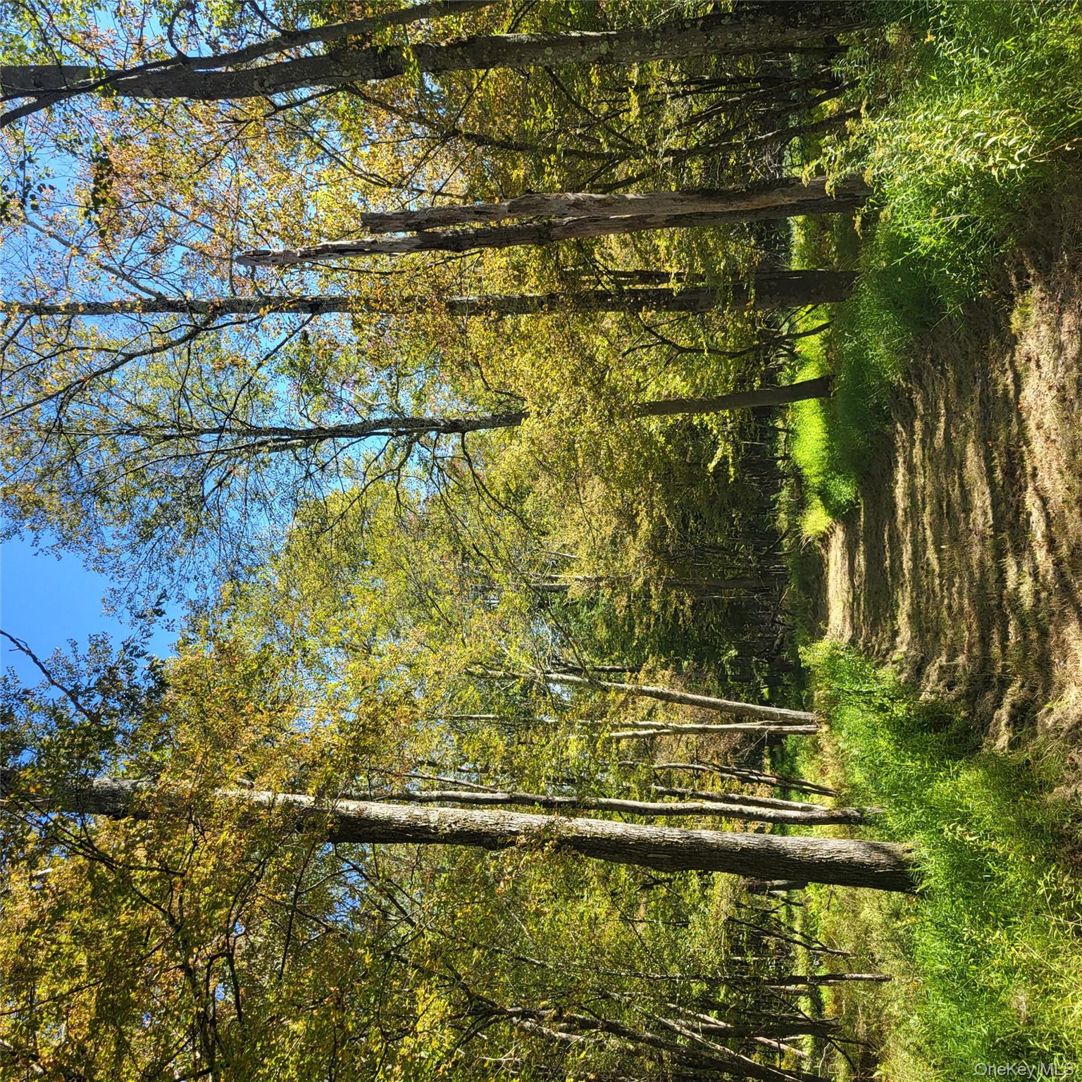 #8 photo, TBD Stephenson Road, Swan Lake , NY 12720