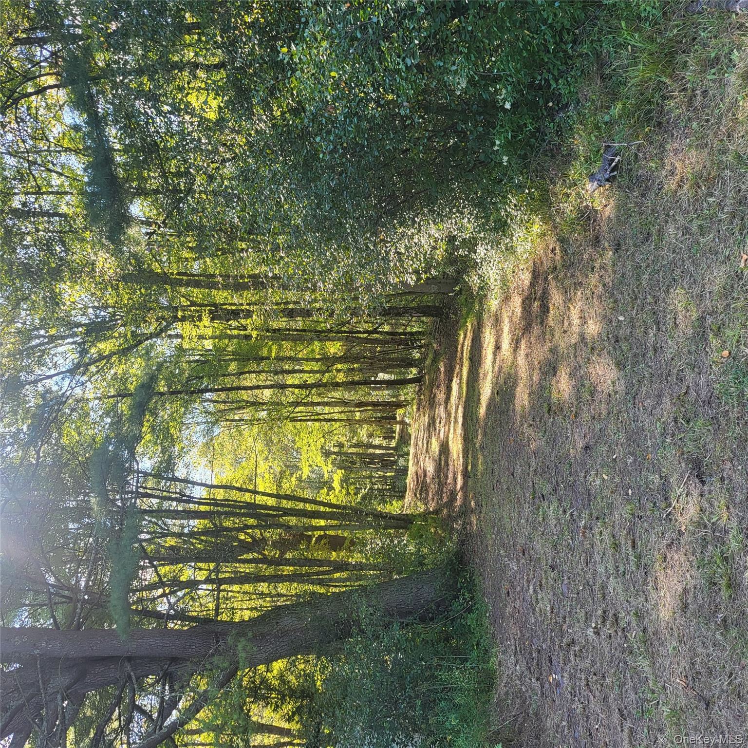 #9 photo, TBD Stephenson Road, Swan Lake , NY 12720