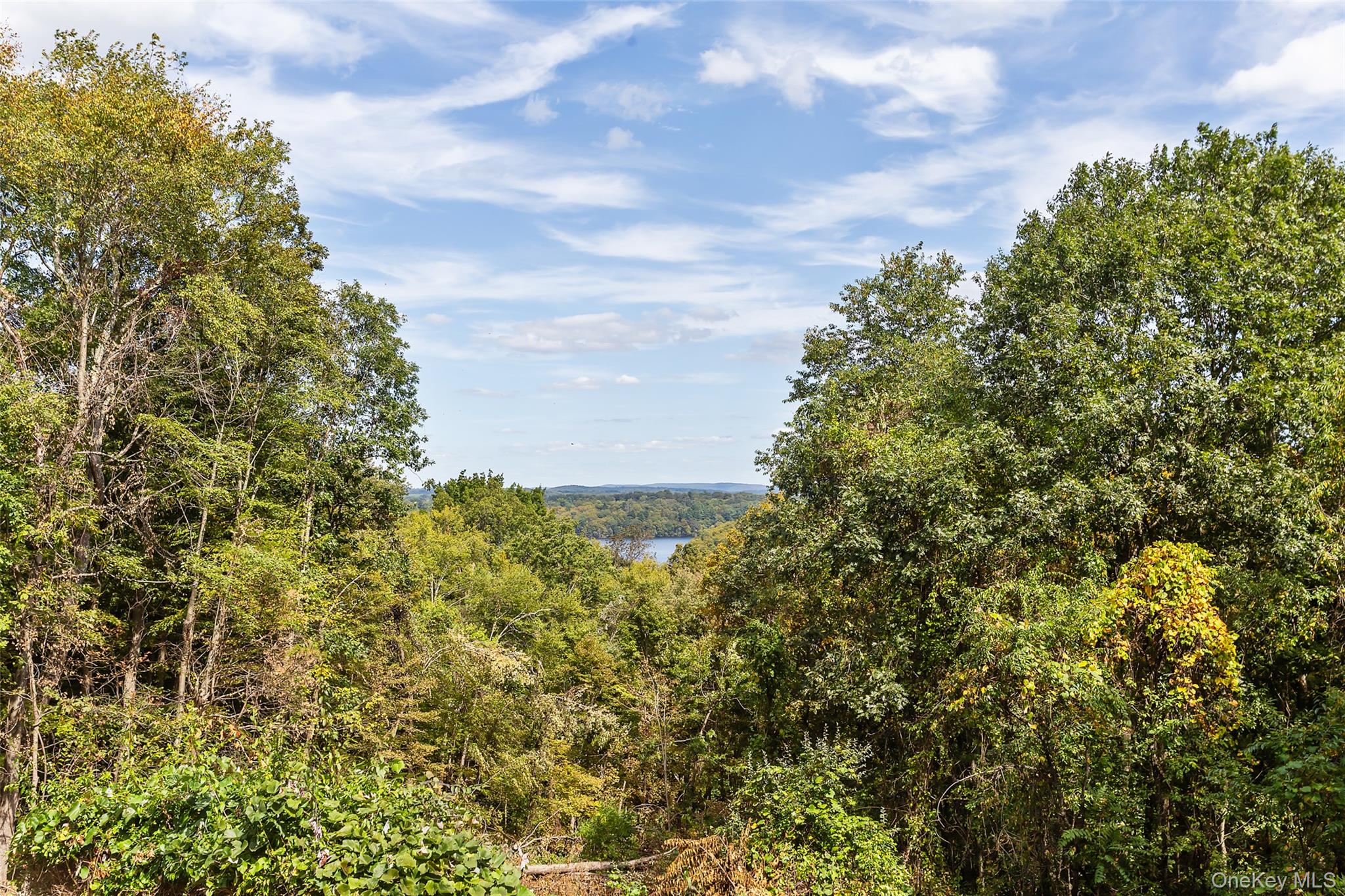 #14 photo, 33 Raspberry Lane, Carmel , NY 10512