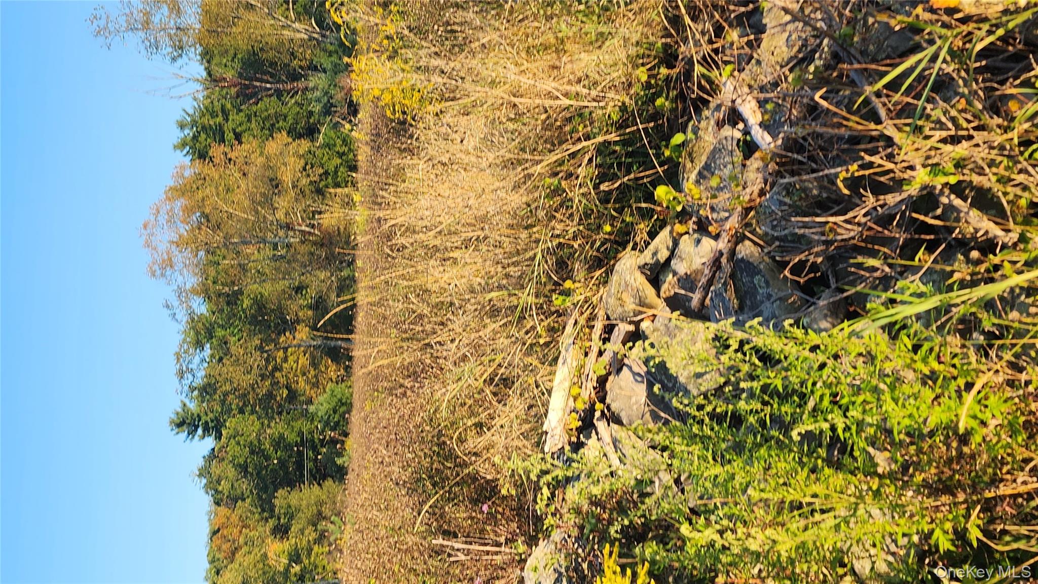 #2 photo, 647 Irish Cape Road, Ellenville , NY 12428