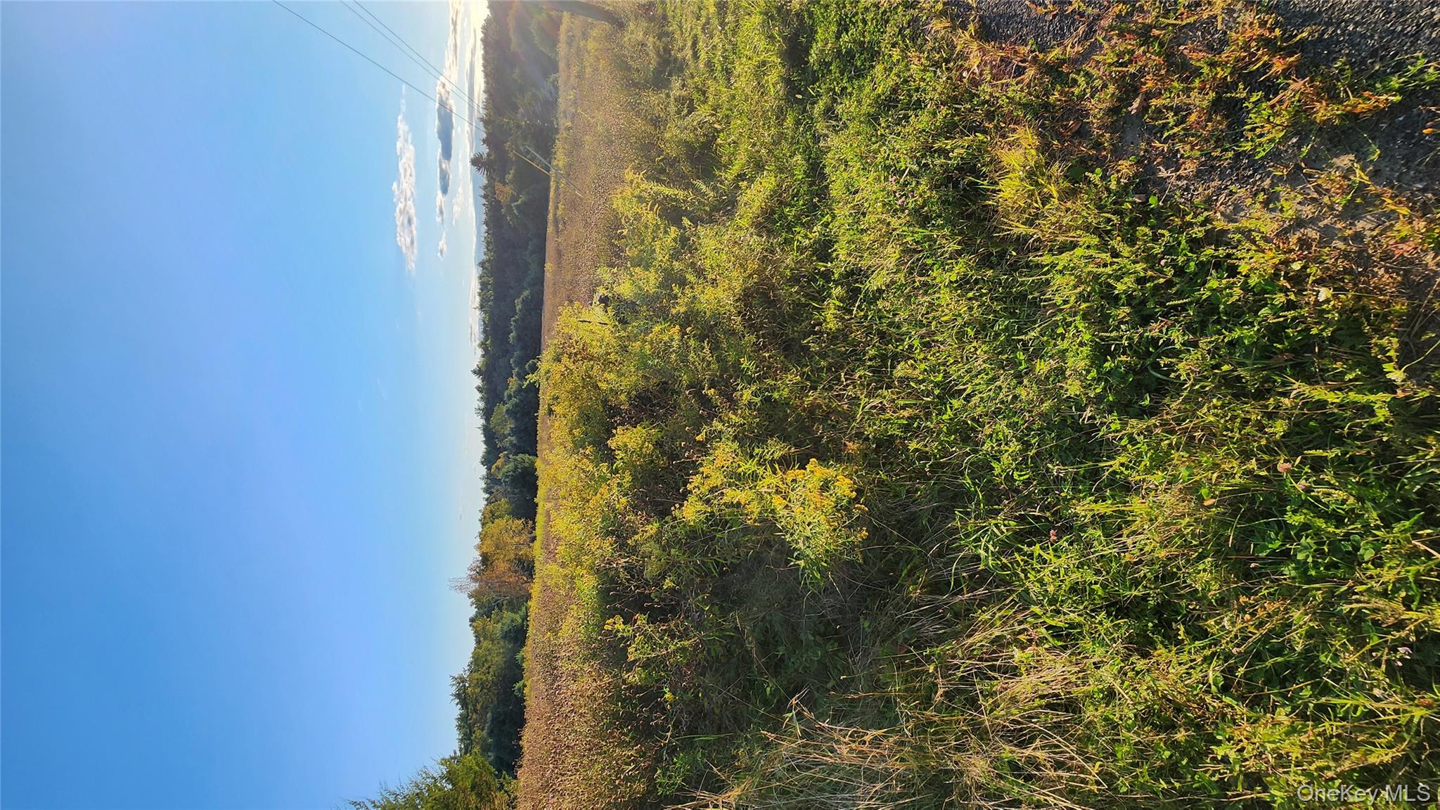 #4 photo, 647 Irish Cape Road, Ellenville , NY 12428