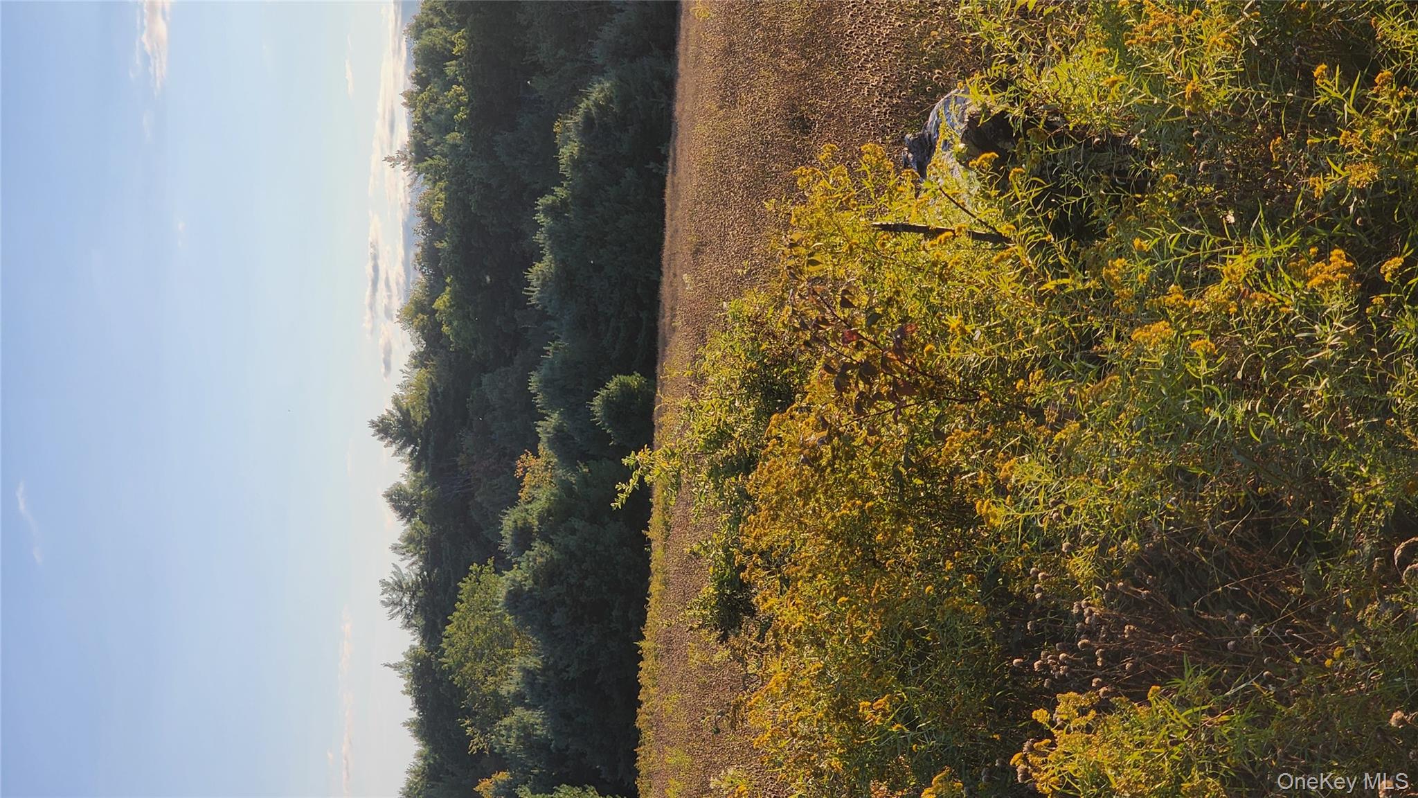 #5 photo, 647 Irish Cape Road, Ellenville , NY 12428