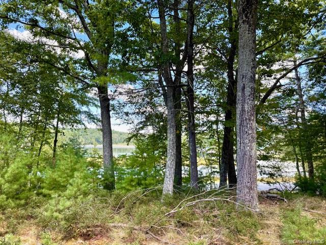 #15 photo, 469 White Road, Glen Spey , NY 12737