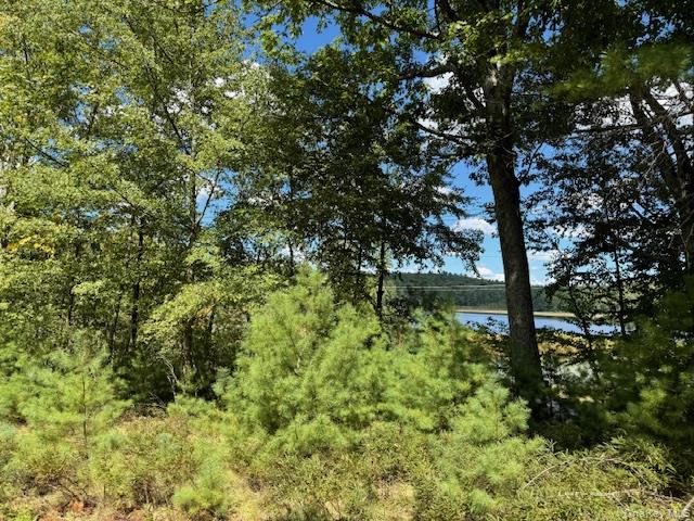 #17 photo, 469 White Road, Glen Spey , NY 12737