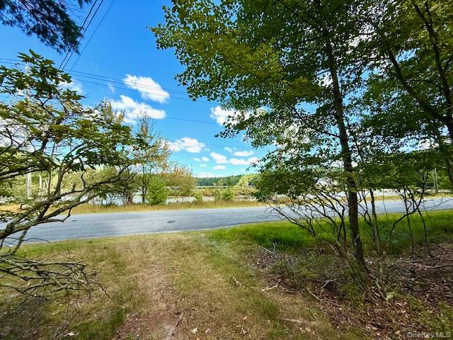 #2 photo, 469 White Road, Glen Spey , NY 12737