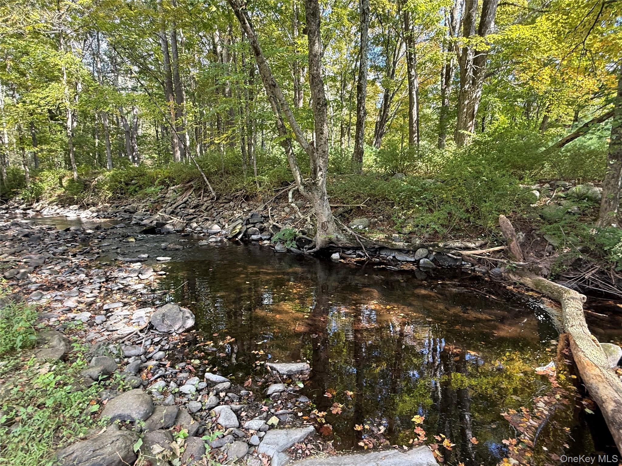 #10 photo, 910 State Route 42, Sparrowbush , NY 12780