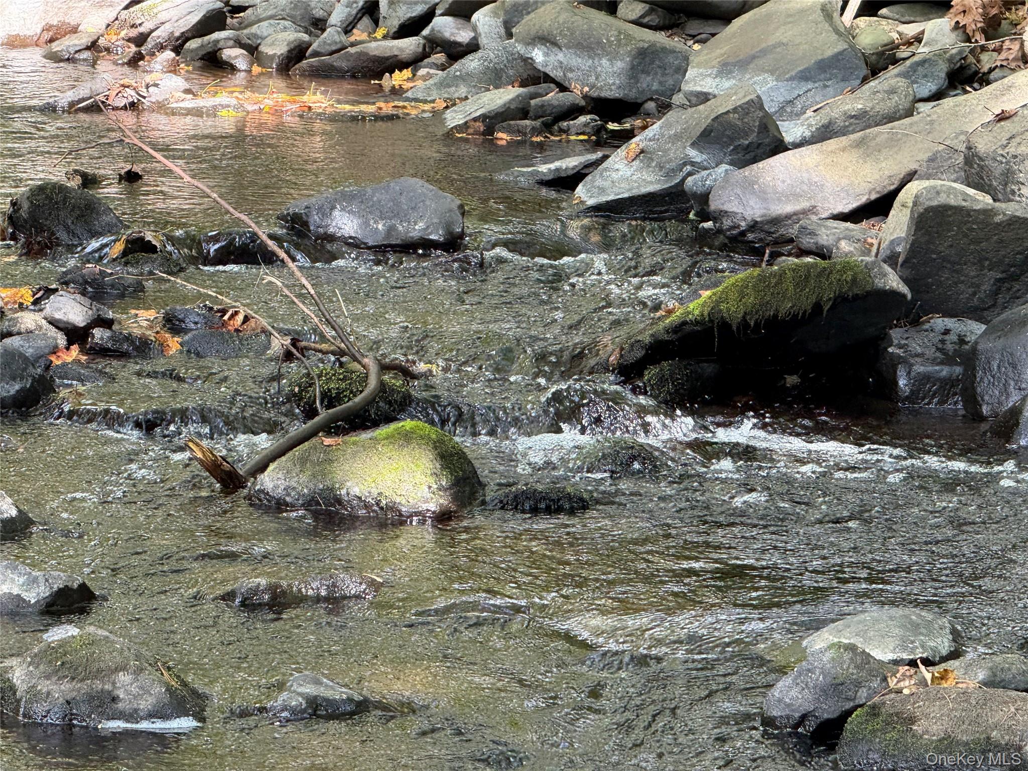 #5 photo, 910 State Route 42, Sparrowbush , NY 12780