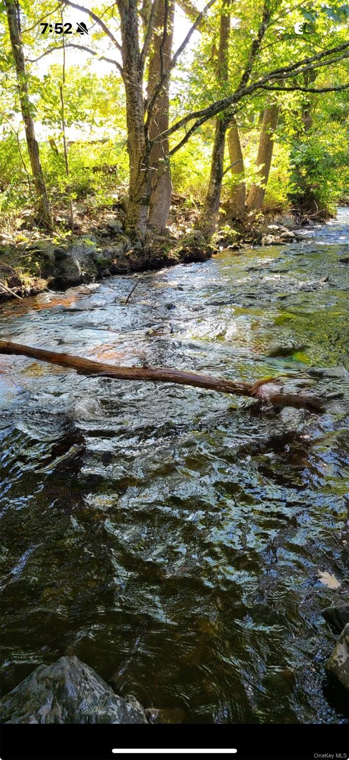 #9 photo, 910 State Route 42, Sparrowbush , NY 12780