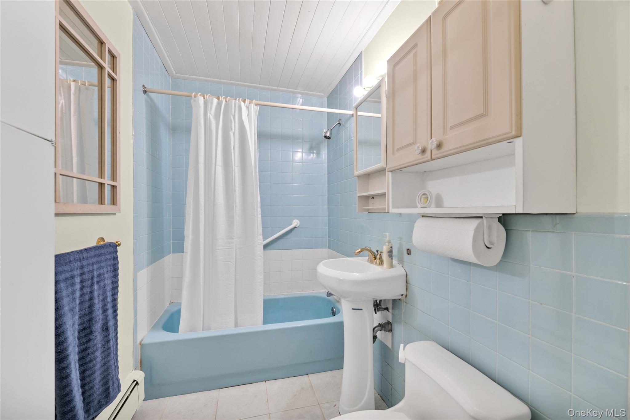 #9 photo, 253 Raff Avenue, Carle Place , NY 11514