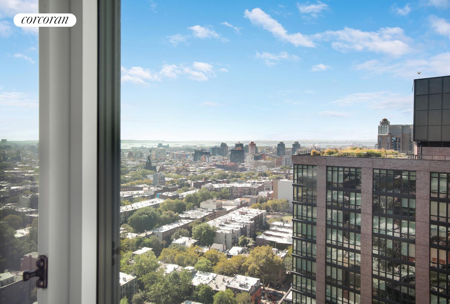 #10 photo, Brooklyn, ブルックリン区 Prospect Heights , NY 11238