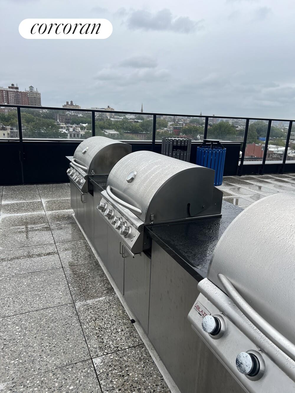 #12 photo, Brooklyn, ブルックリン区 Prospect Heights , NY 11238