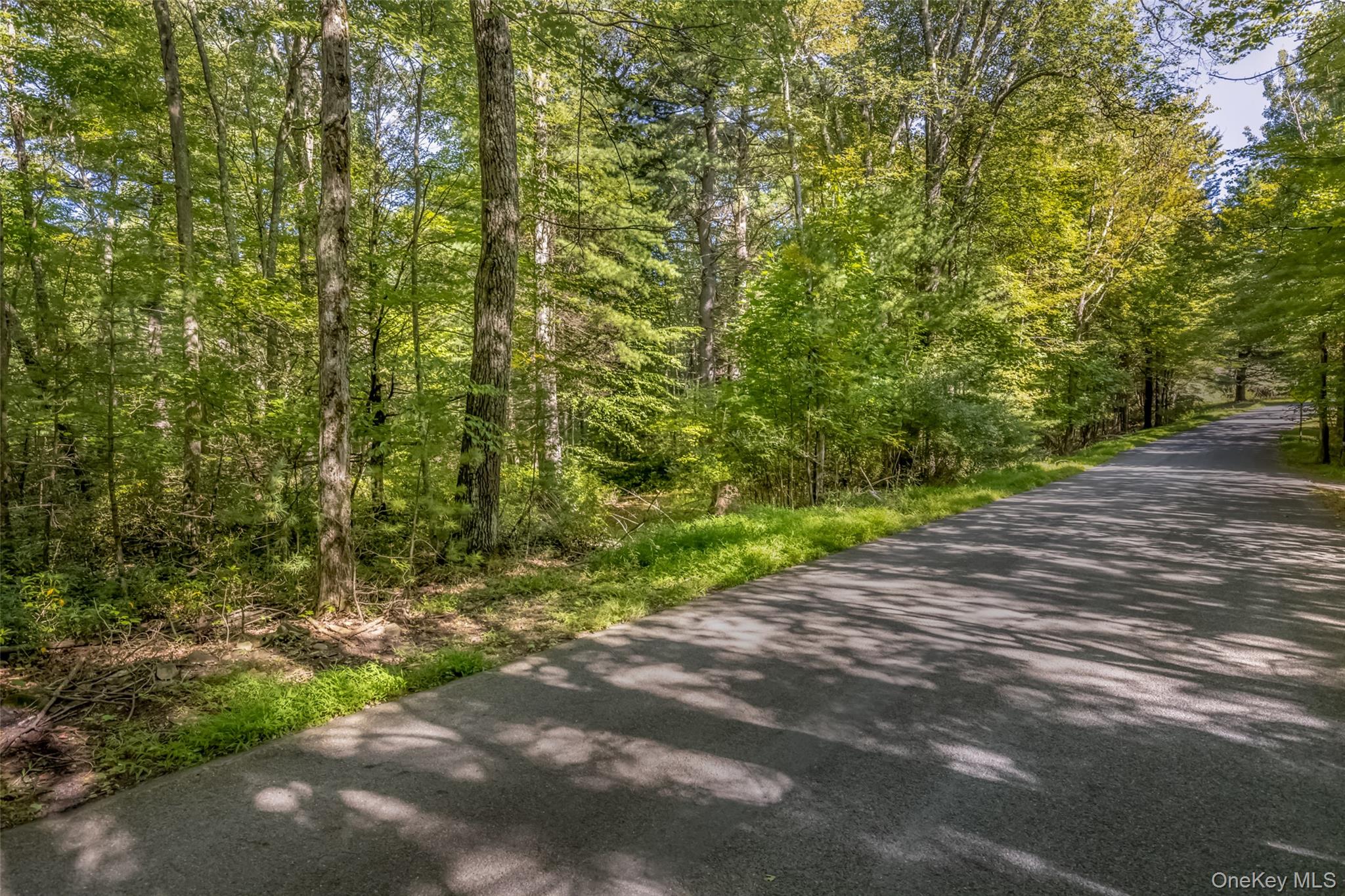 #1 photo, 187 Rocky Mountain Road, Kerhonkson , NY 