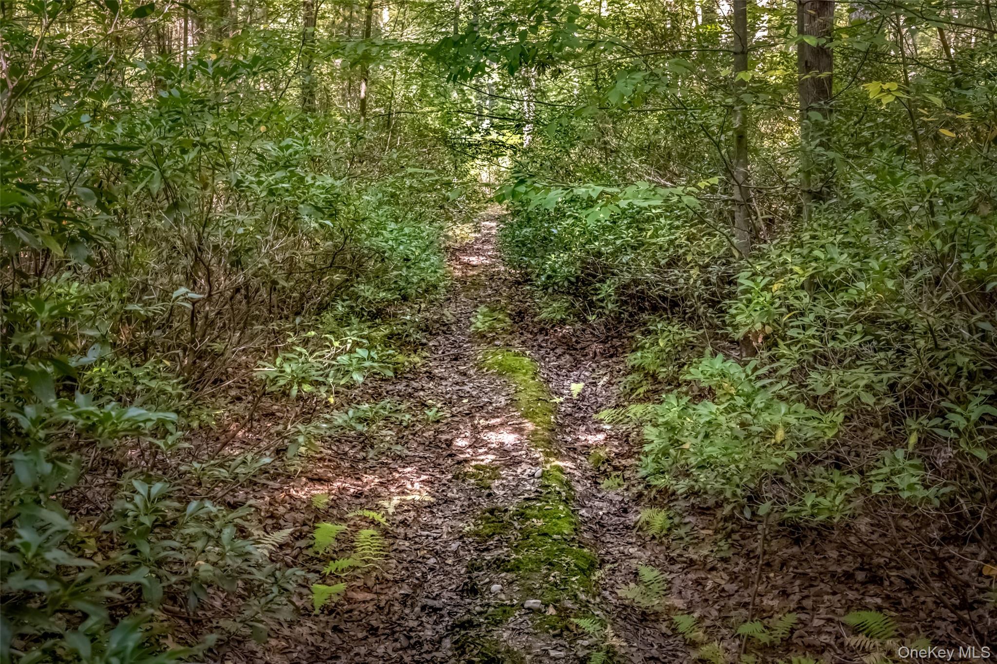 #2 photo, 187 Rocky Mountain Road, Kerhonkson , NY 