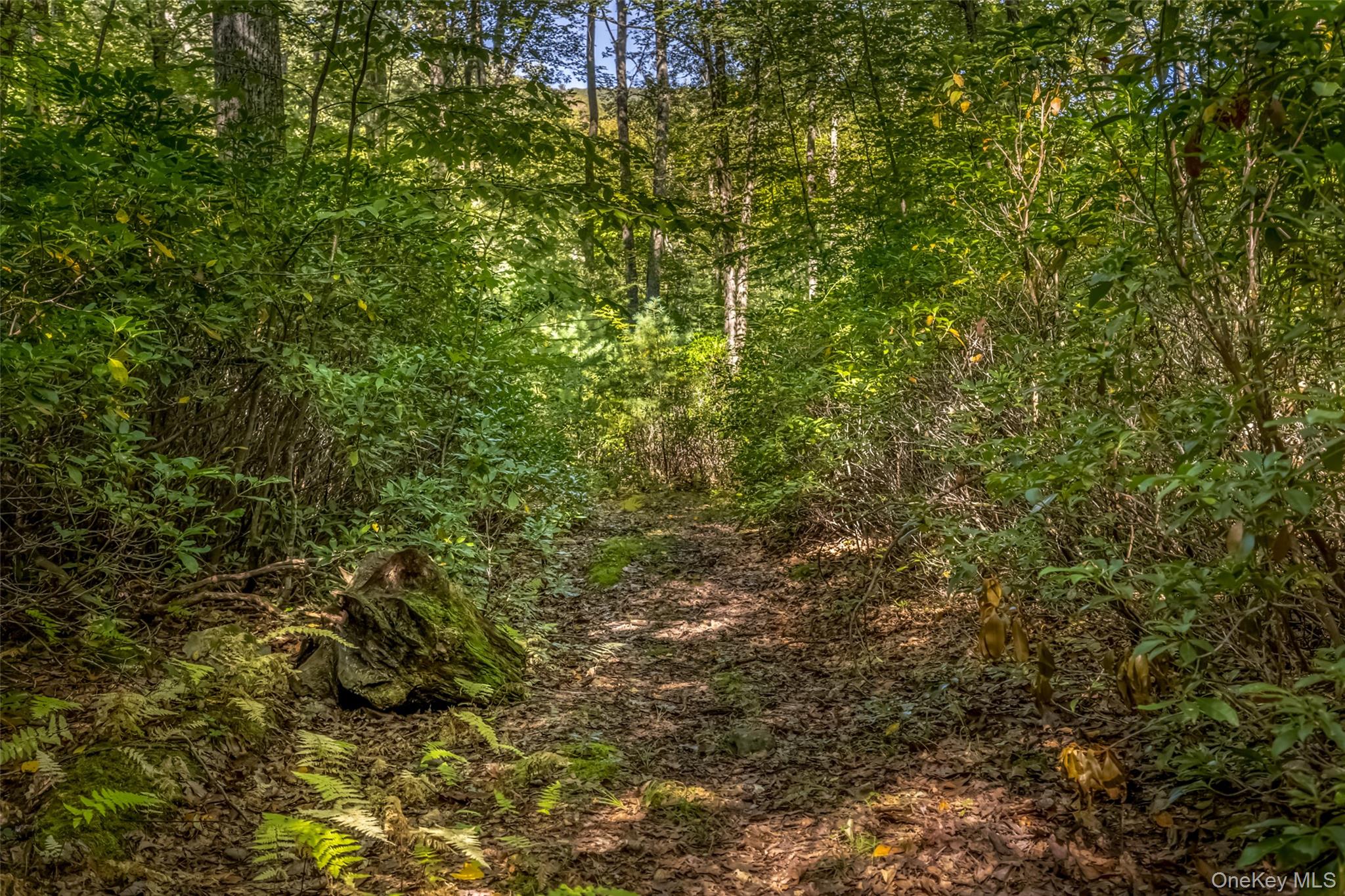 #3 photo, 187 Rocky Mountain Road, Kerhonkson , NY 