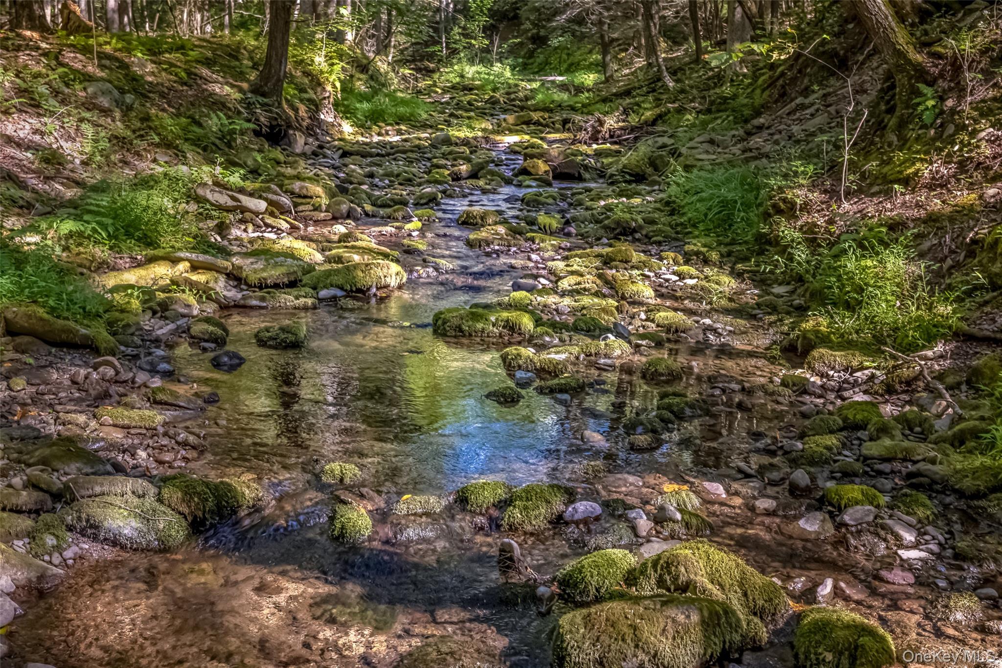 #4 photo, 187 Rocky Mountain Road, Kerhonkson , NY 