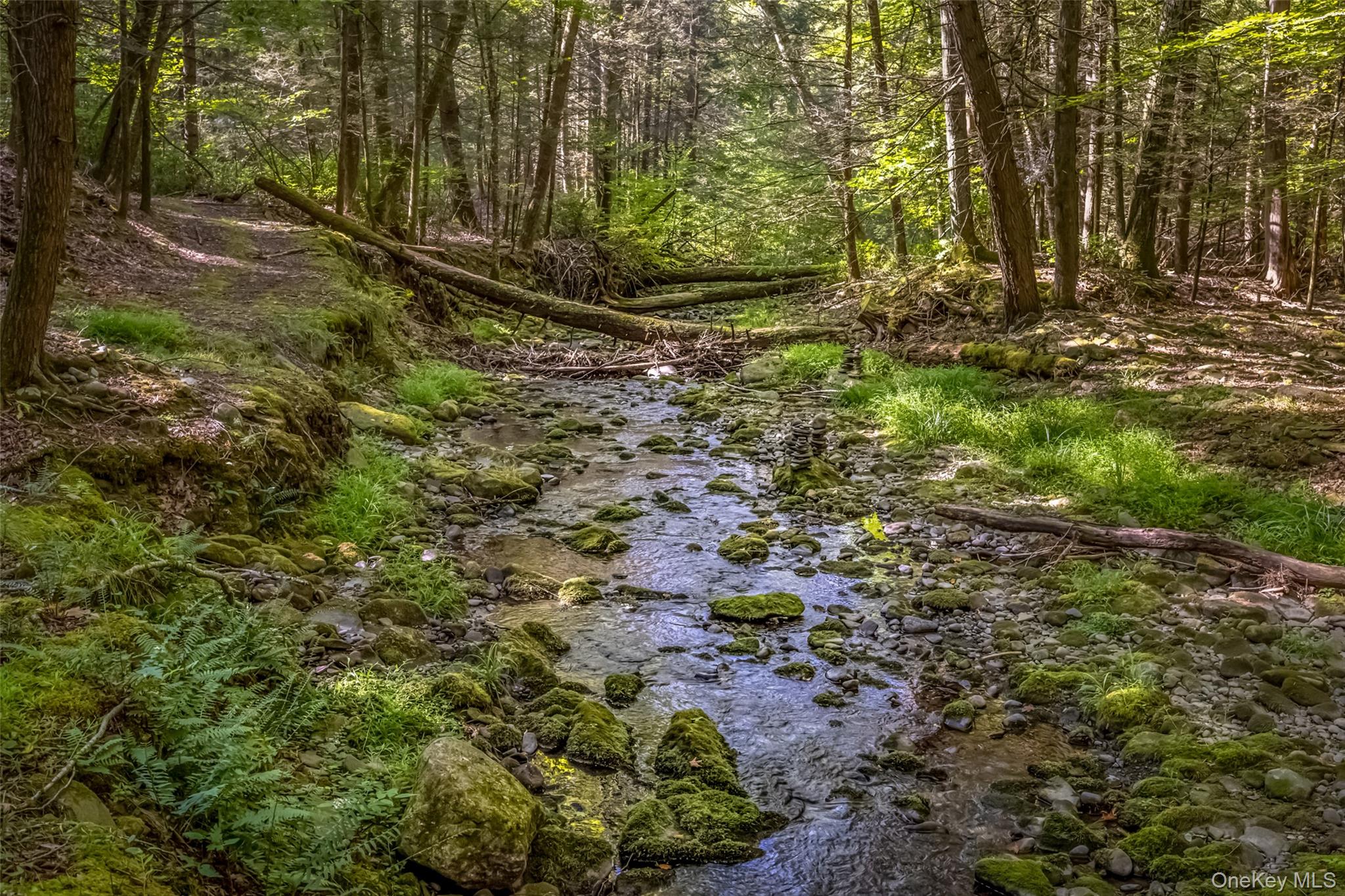 #5 photo, 187 Rocky Mountain Road, Kerhonkson , NY 