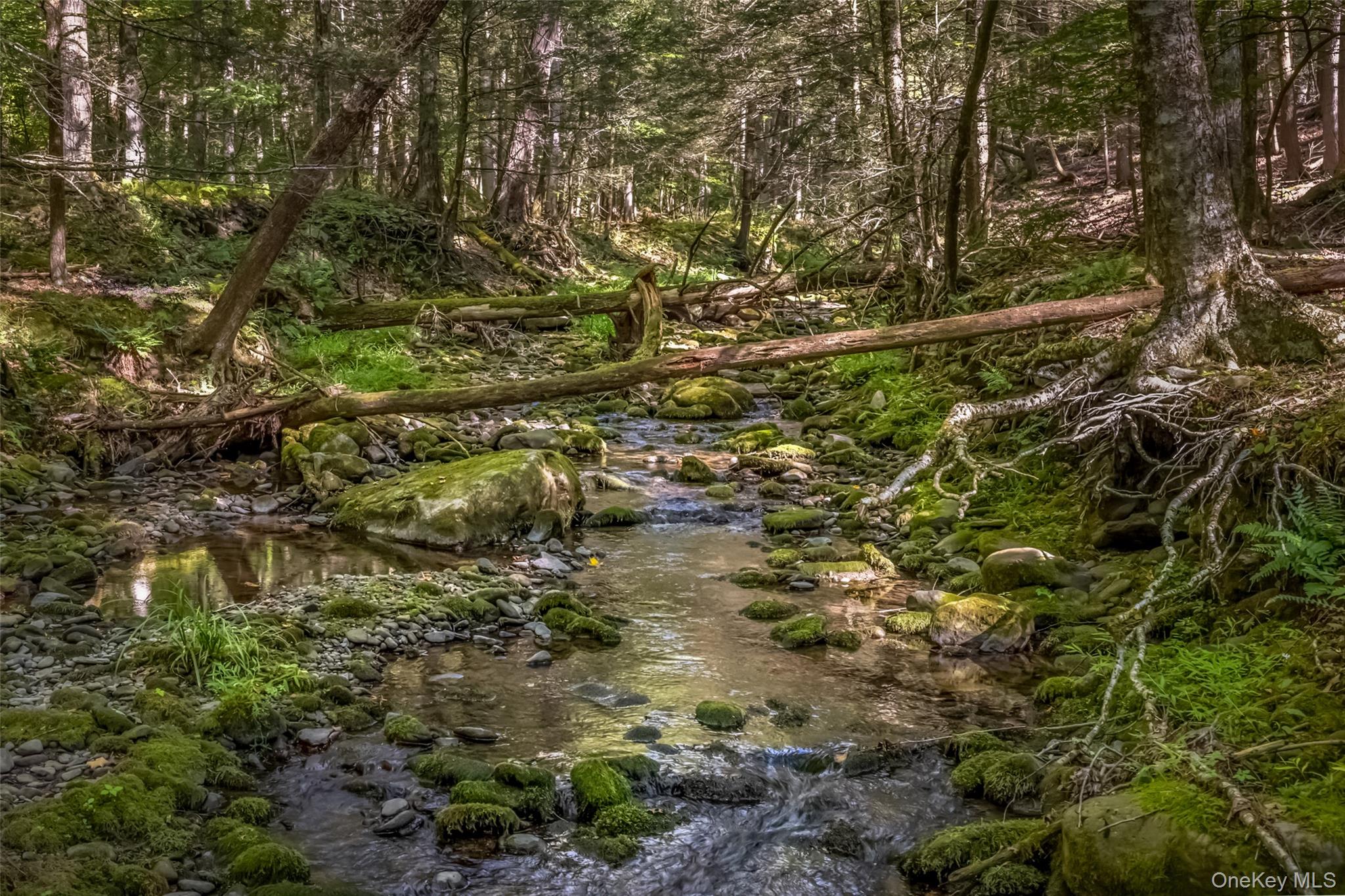 #6 photo, 187 Rocky Mountain Road, Kerhonkson , NY 