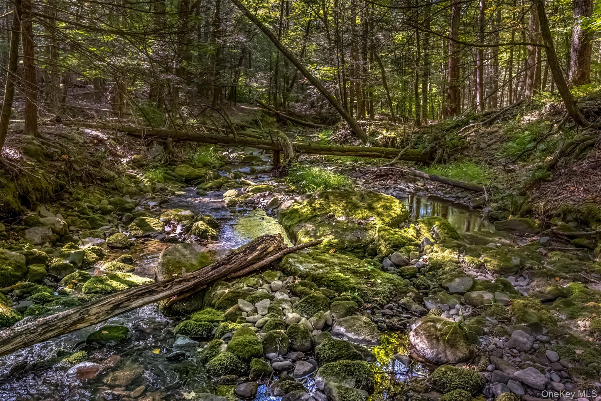 #7 photo, 187 Rocky Mountain Road, Kerhonkson , NY 