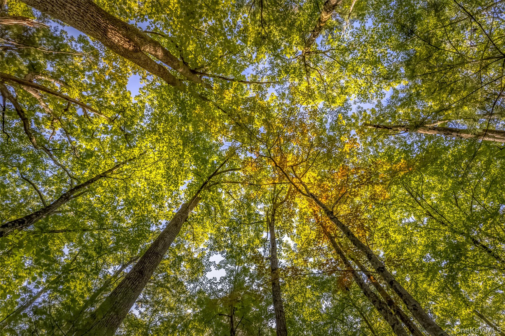 #8 photo, 187 Rocky Mountain Road, Kerhonkson , NY 