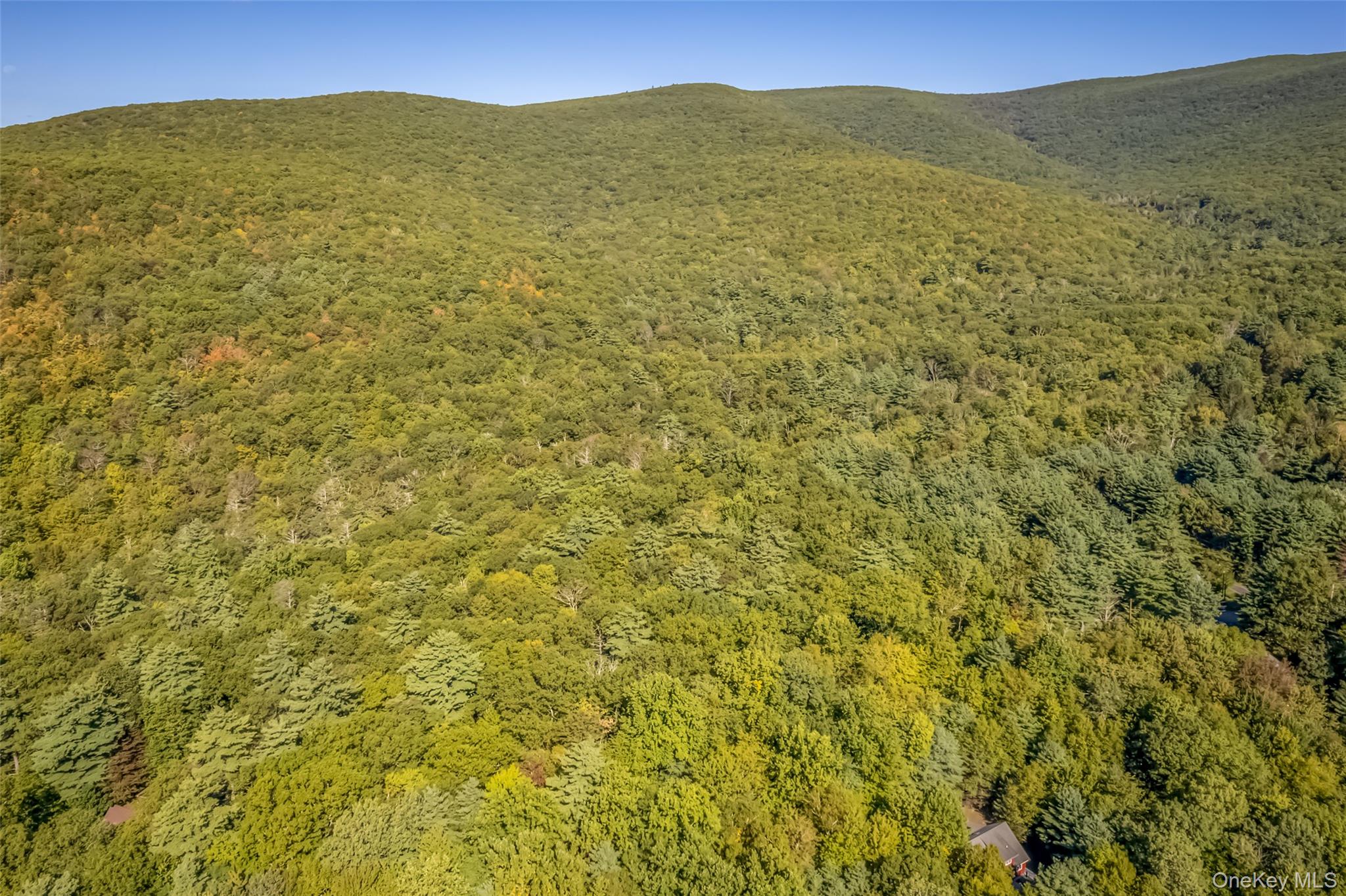 #9 photo, 187 Rocky Mountain Road, Kerhonkson , NY 