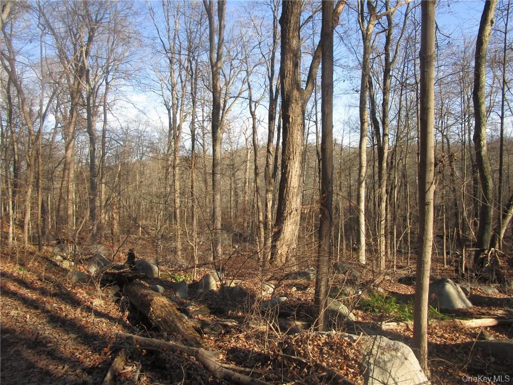 #2 photo, Brookside/Bear Mtn Parkway Avenue, Cortlandt Manor , NY 10567