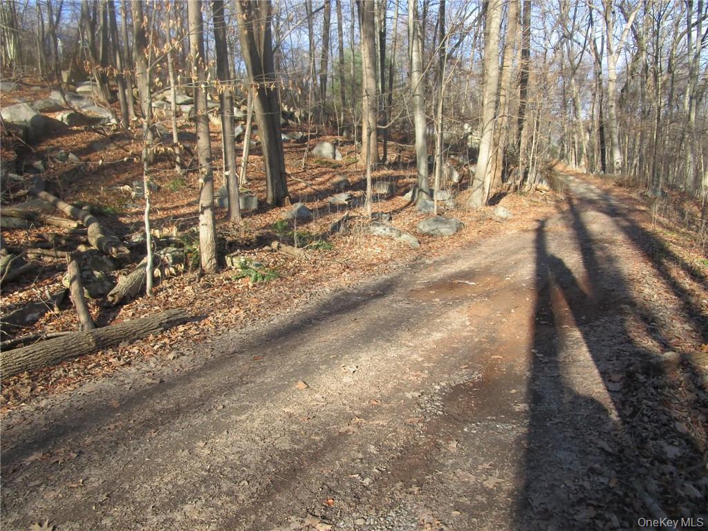 #3 photo, Brookside/Bear Mtn Parkway Avenue, Cortlandt Manor , NY 10567