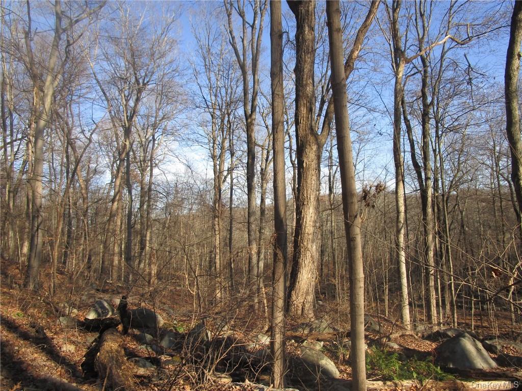 #4 photo, Brookside/Bear Mtn Parkway Avenue, Cortlandt Manor , NY 10567