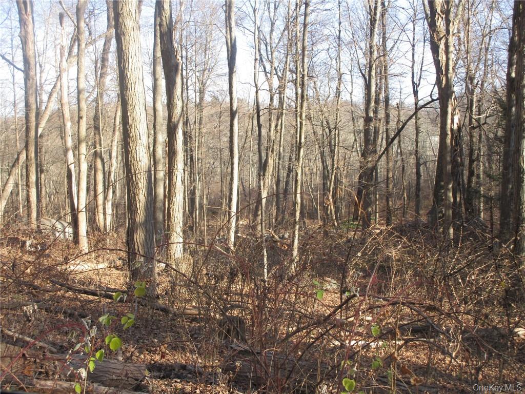 #5 photo, Brookside/Bear Mtn Parkway Avenue, Cortlandt Manor , NY 10567