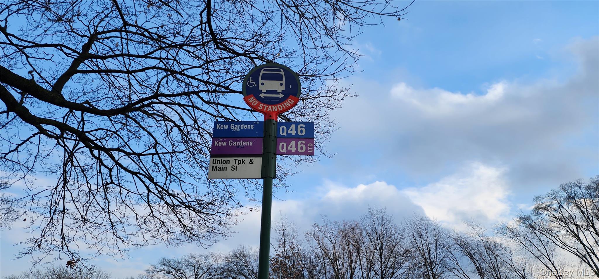 #14 photo, 141-39 Union Turnpike, クイーンズ区 Flushing , NY 11367