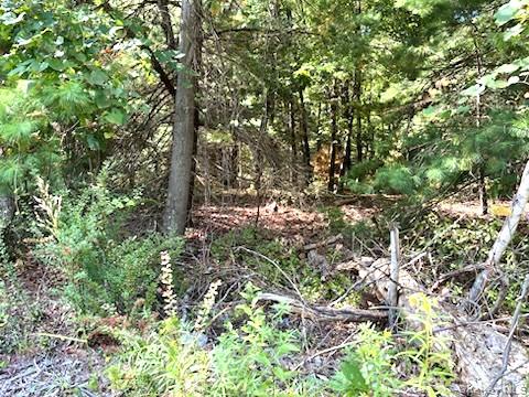 #3 photo, 701 Us Route 209, Port Jervis , NY 12729