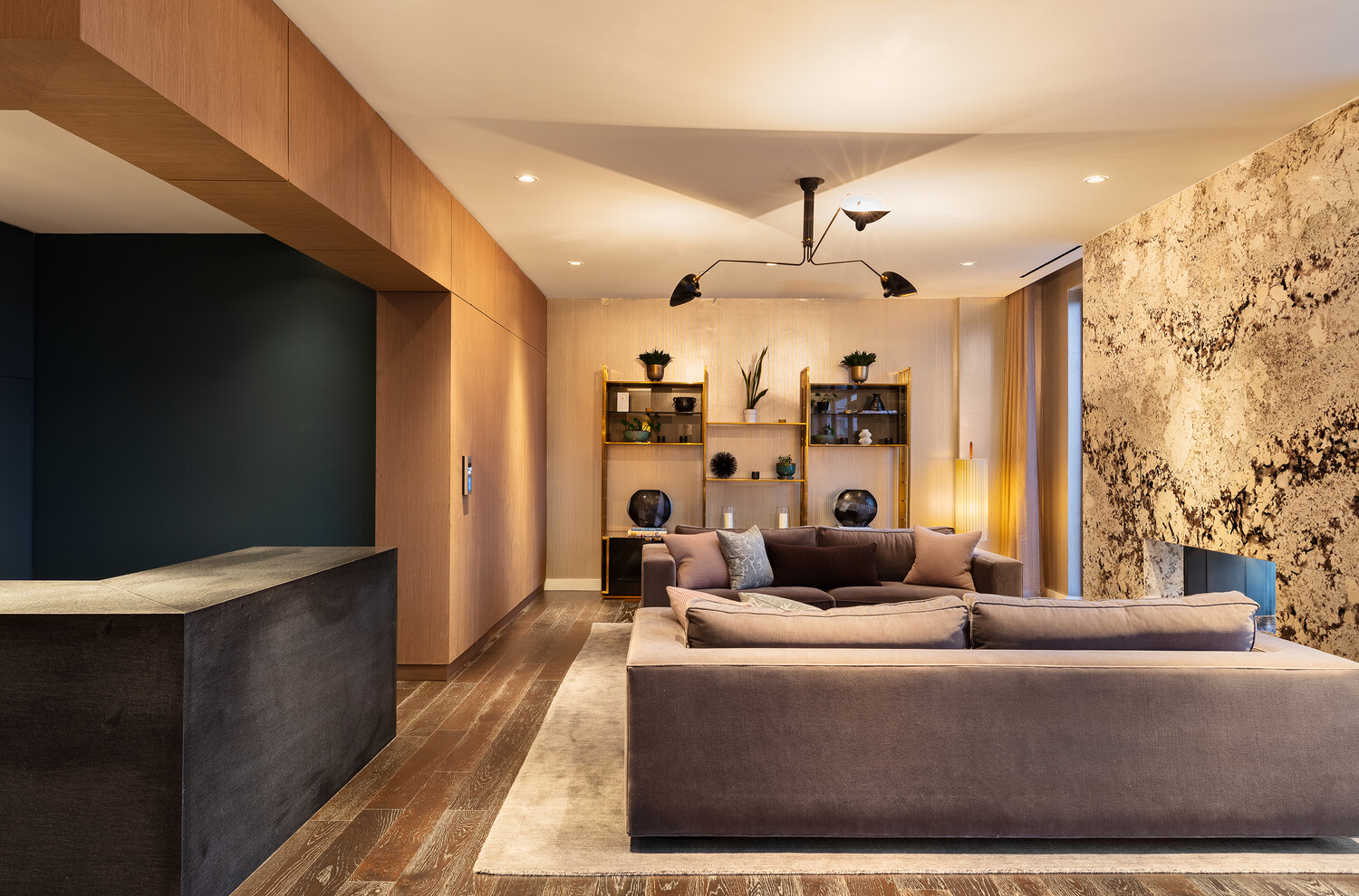 #16 photo, 50 BRIDGE PARK Drive, ブルックリン区 Brooklyn Heights , NY 11201