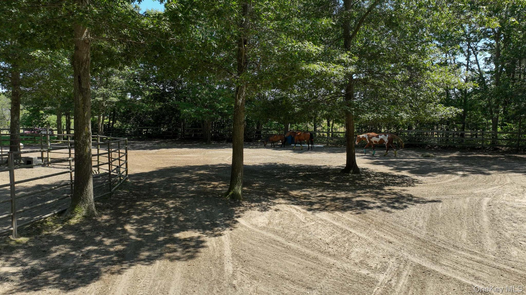 #19 photo, 168 Brookfield Avenue, サフォーク郡 Center Moriches , NY 11934