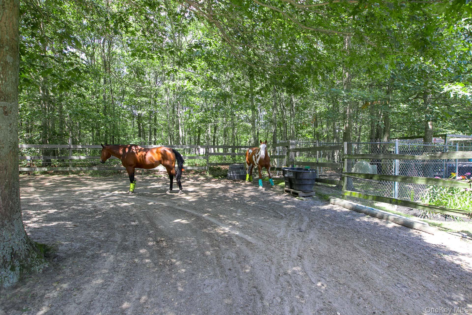 #20 photo, 168 Brookfield Avenue, サフォーク郡 Center Moriches , NY 11934