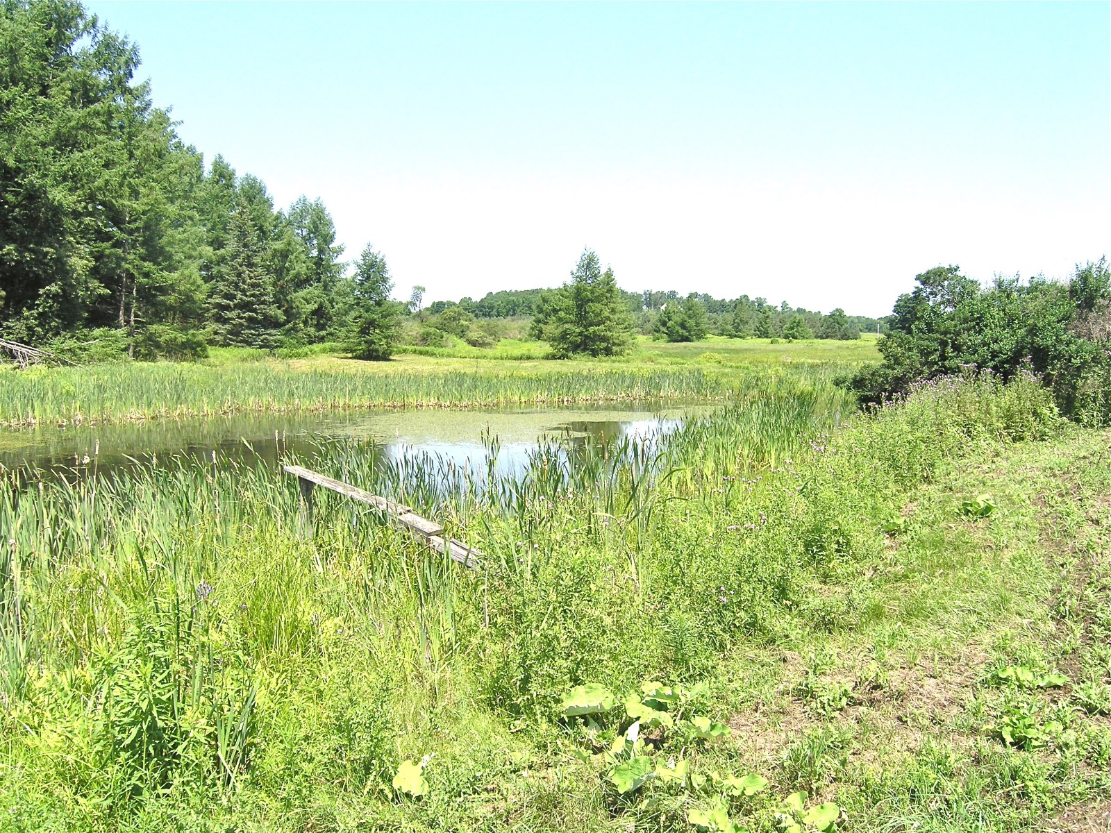 #10 photo, 116  Sunset Ridge Road, Cooperstown , NY 13326