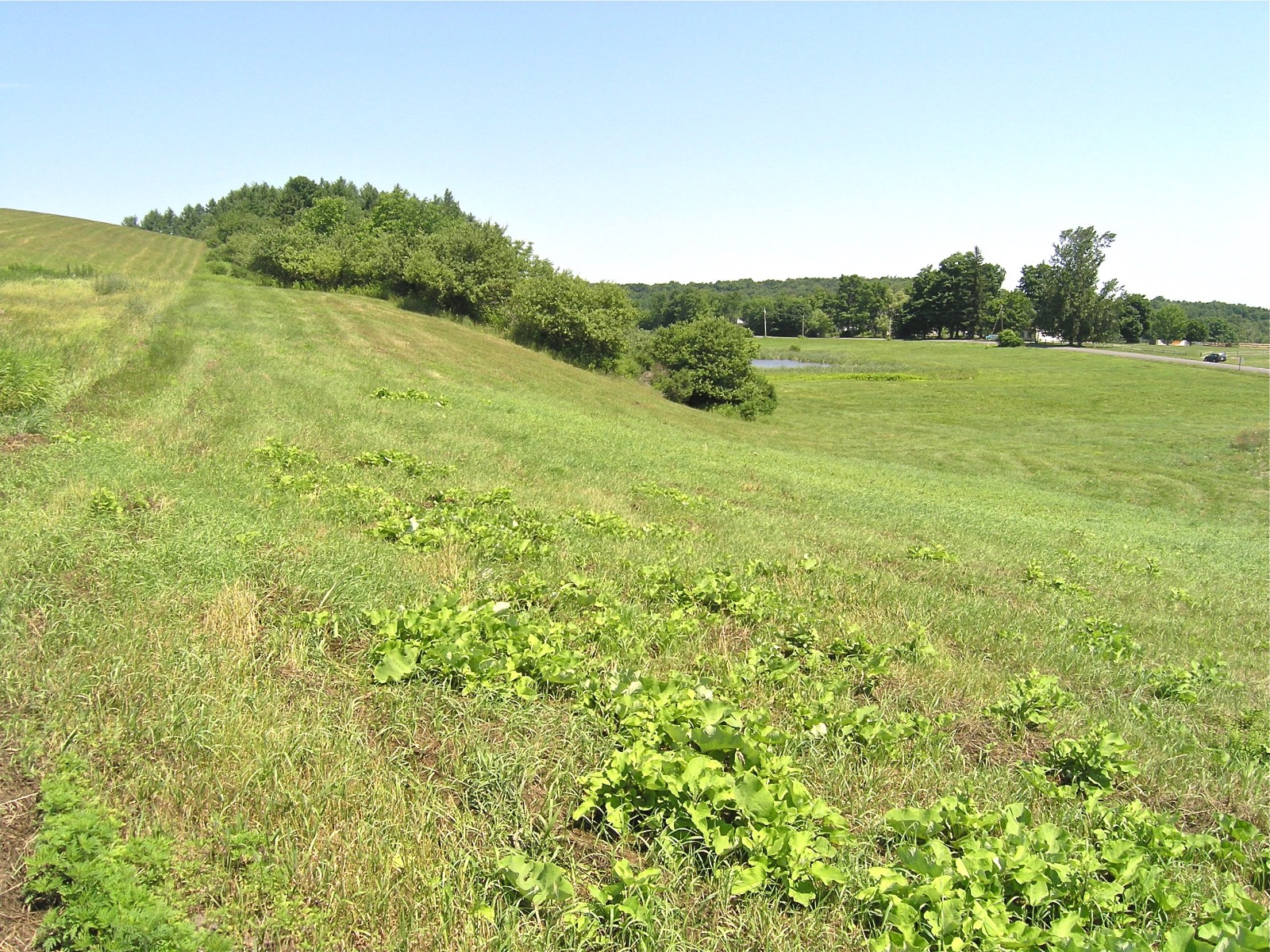 #13 photo, 116  Sunset Ridge Road, Cooperstown , NY 13326