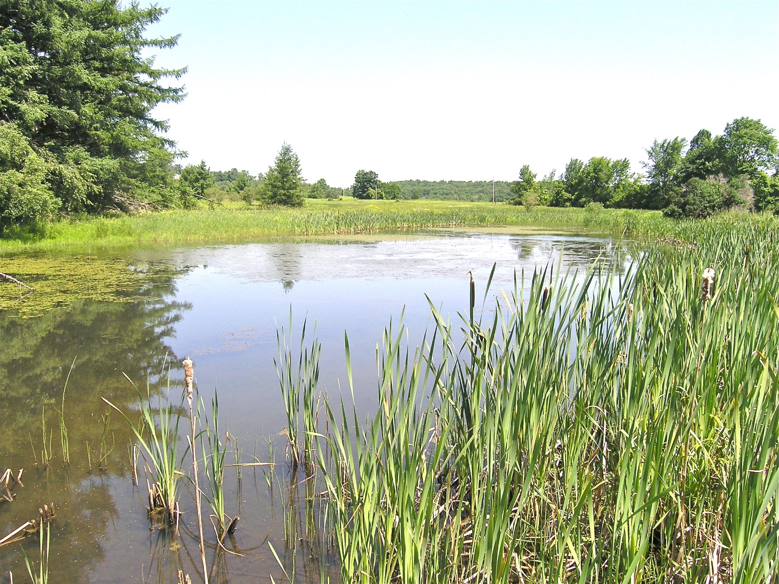 #3 photo, 116  Sunset Ridge Road, Cooperstown , NY 13326