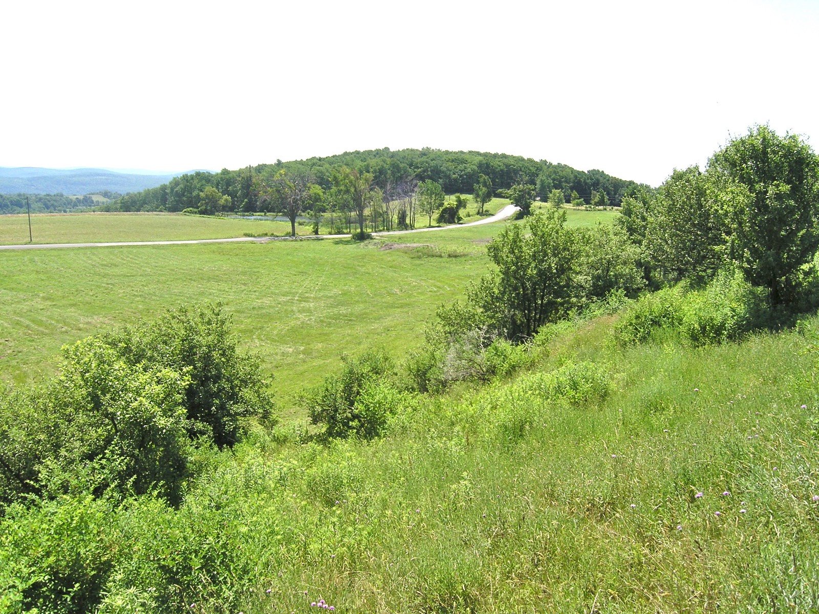 #4 photo, 116  Sunset Ridge Road, Cooperstown , NY 13326