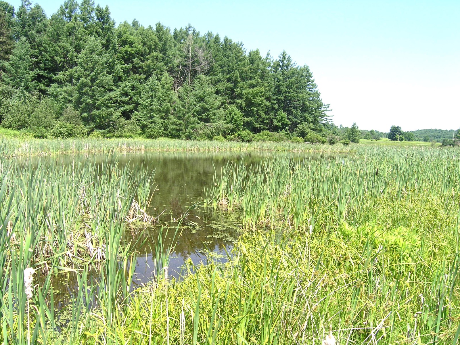 #5 photo, 116  Sunset Ridge Road, Cooperstown , NY 13326