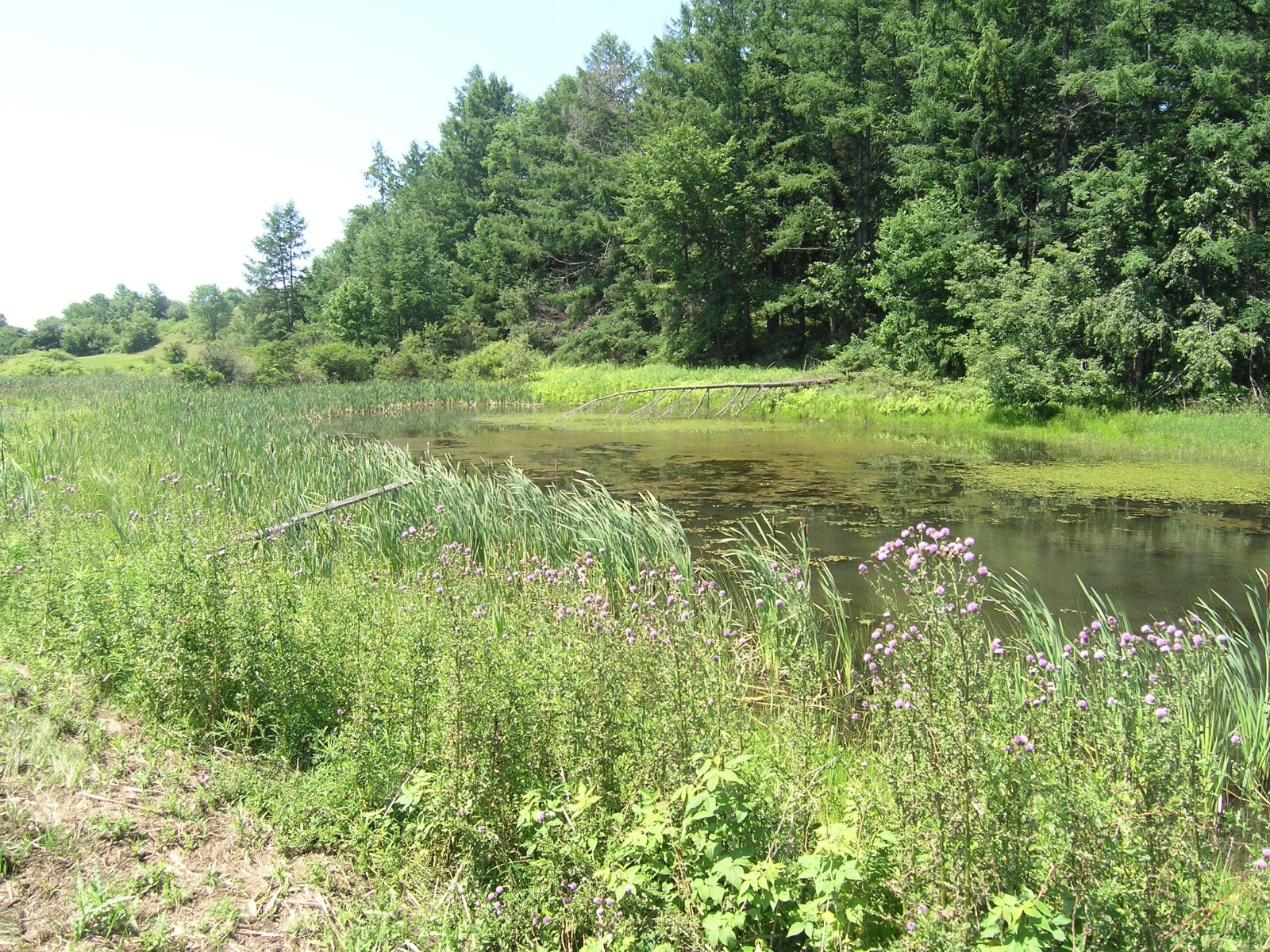 #9 photo, 116  Sunset Ridge Road, Cooperstown , NY 13326