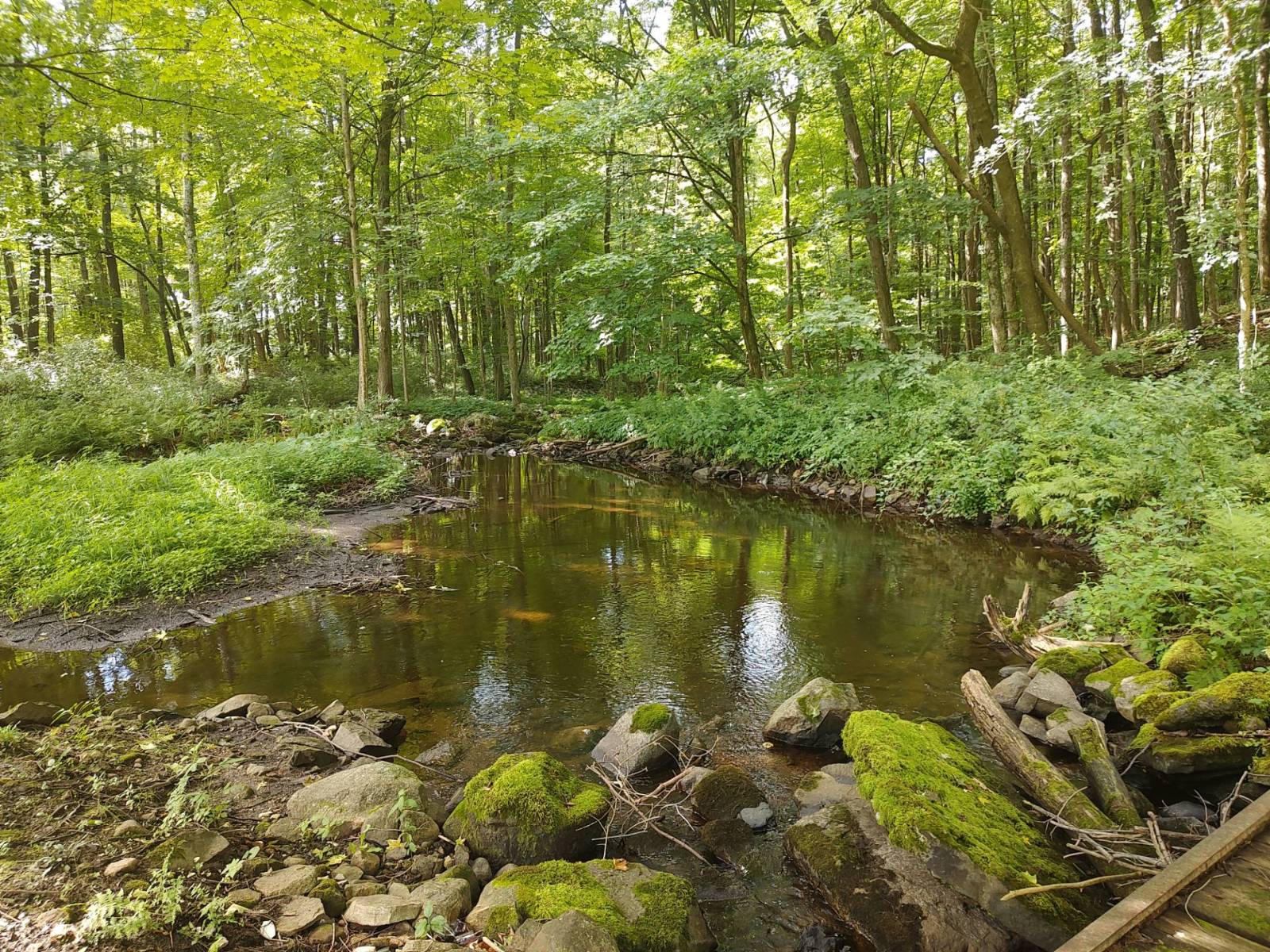 #8 photo, 1146 Route 9N, Saratoga Springs , NY 12866