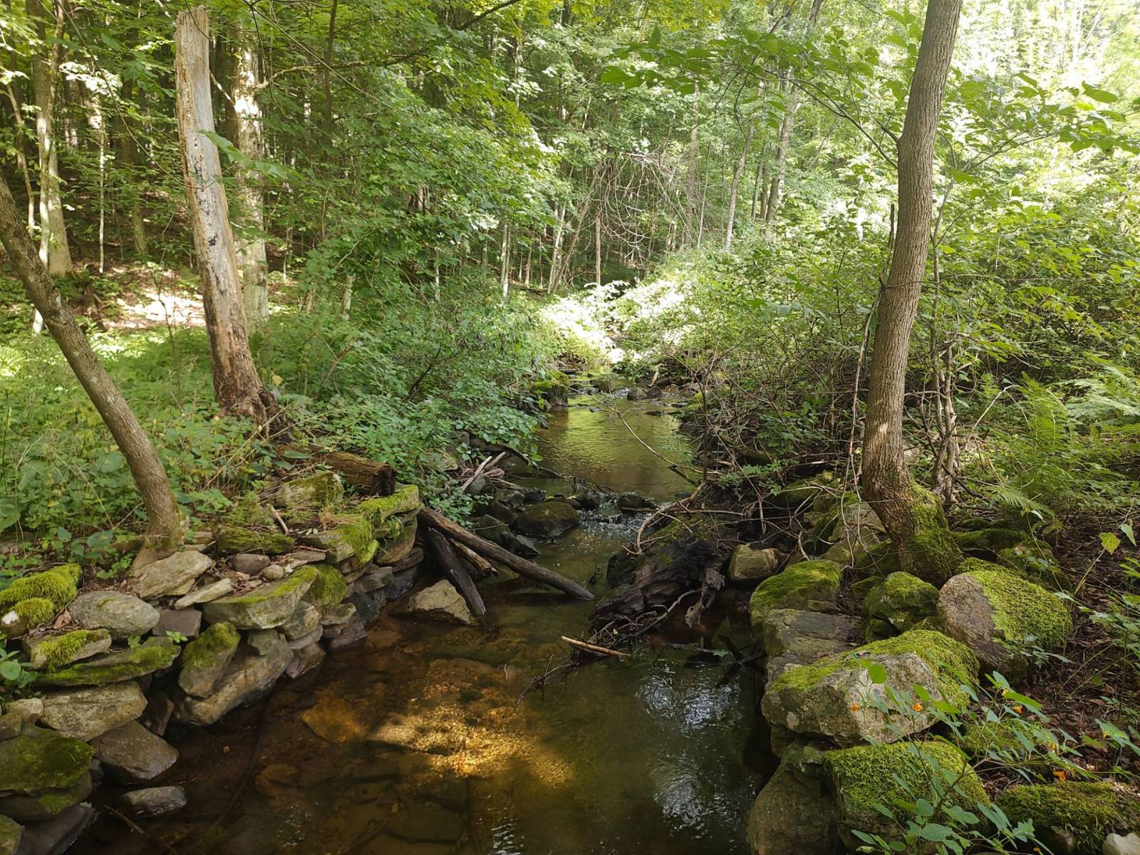 #9 photo, 1146 Route 9N, Saratoga Springs , NY 12866