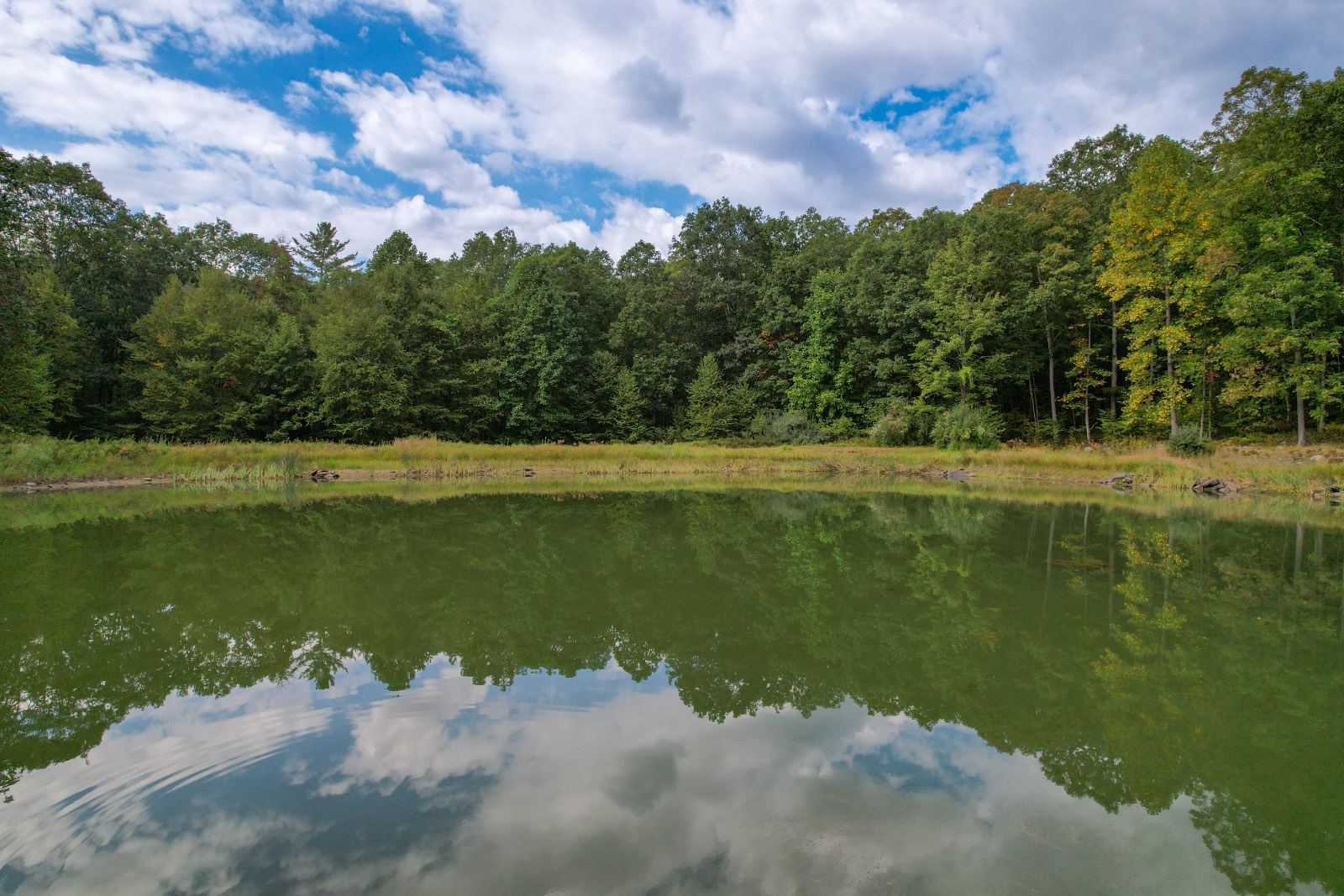 #13 photo, Private ROW off Warren Rd, Hancock , NY 13783