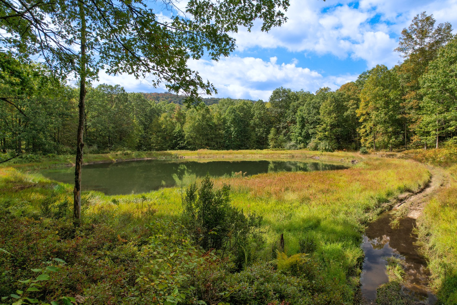 #14 photo, Private ROW off Warren Rd, Hancock , NY 13783