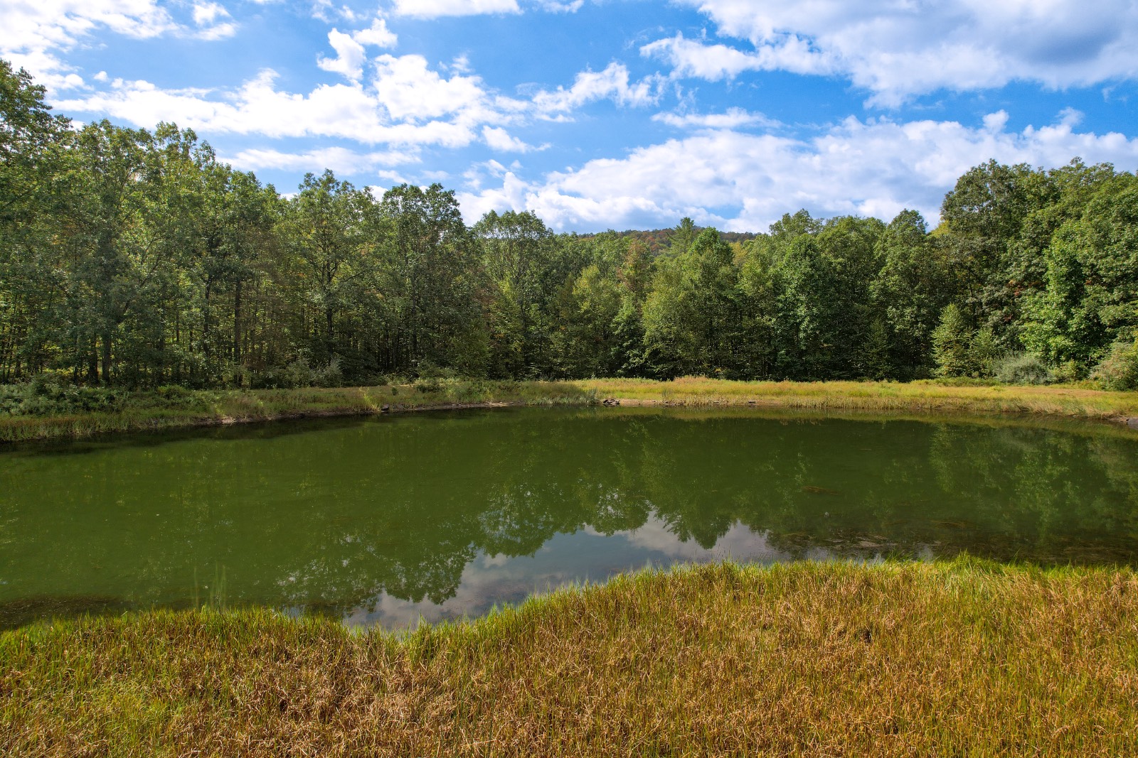 #15 photo, Private ROW off Warren Rd, Hancock , NY 13783