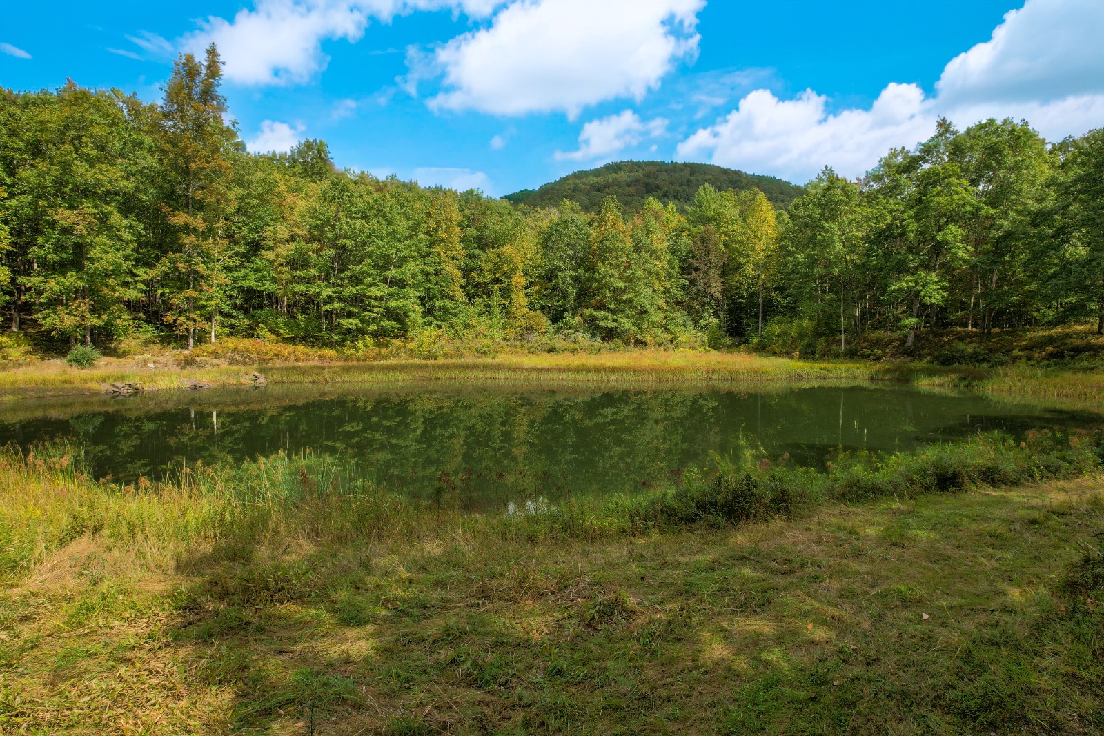 #17 photo, Private ROW off Warren Rd, Hancock , NY 13783