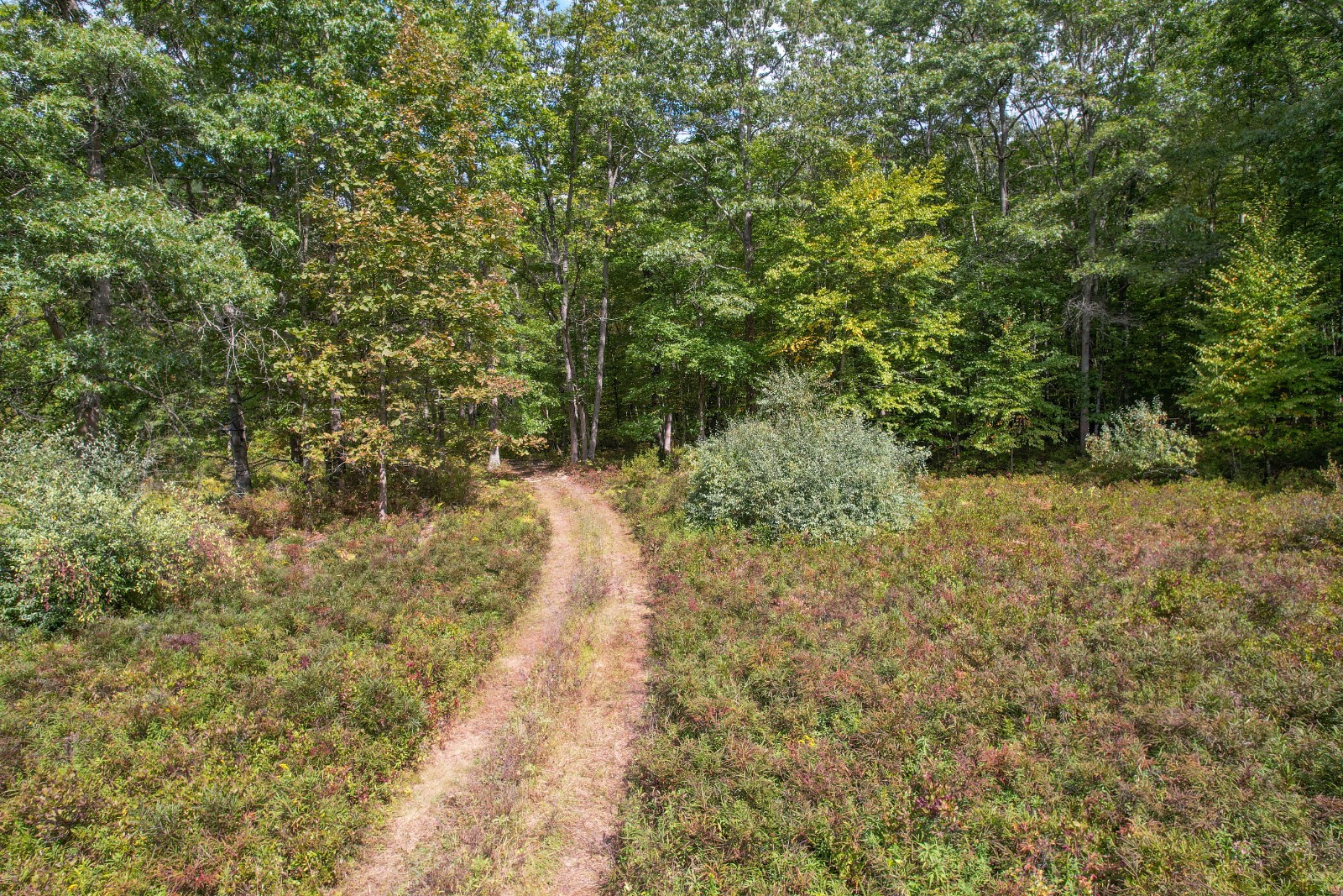 #18 photo, Private ROW off Warren Rd, Hancock , NY 13783