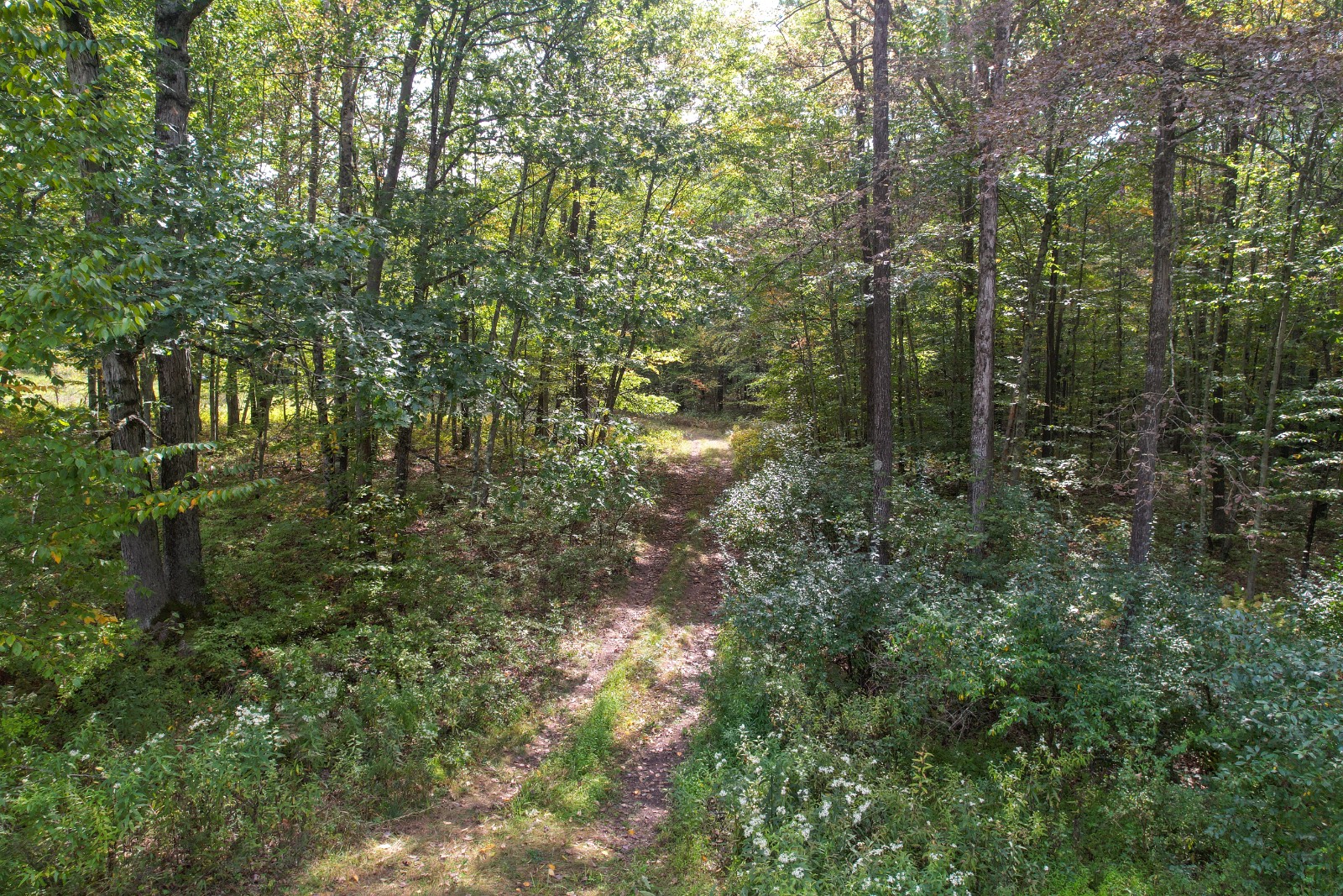 #19 photo, Private ROW off Warren Rd, Hancock , NY 13783