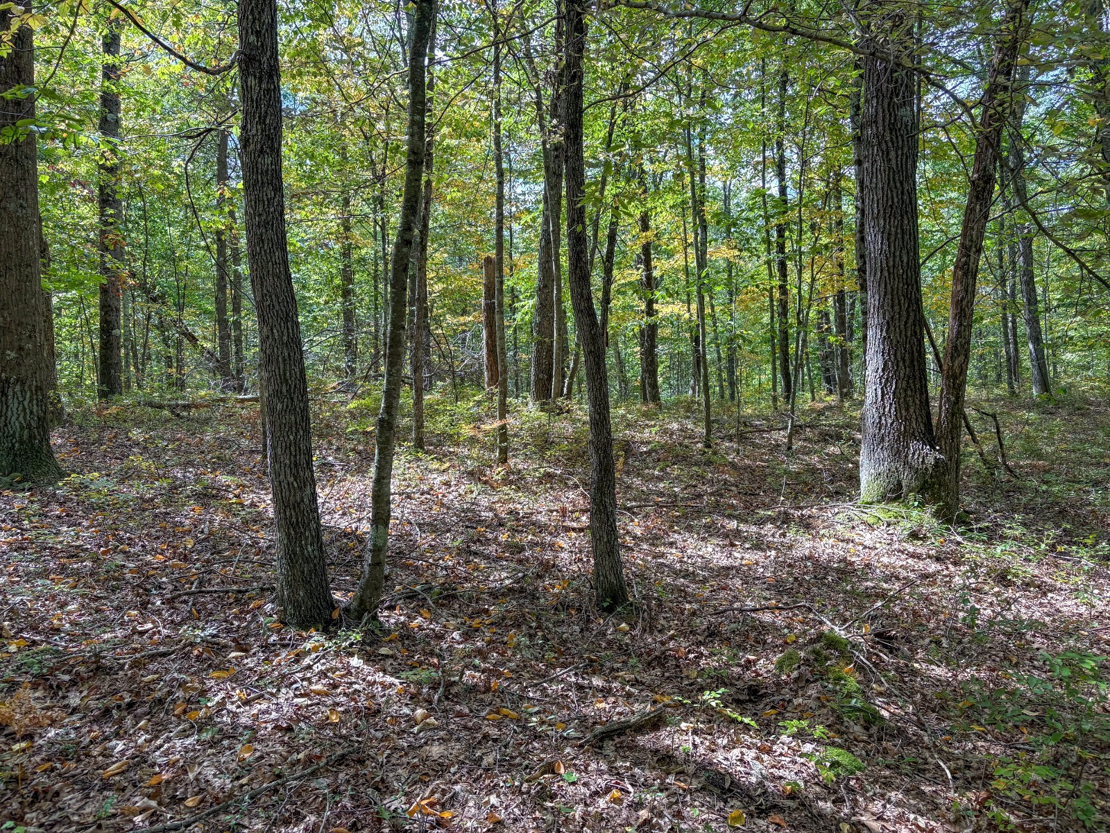 #20 photo, Private ROW off Warren Rd, Hancock , NY 13783