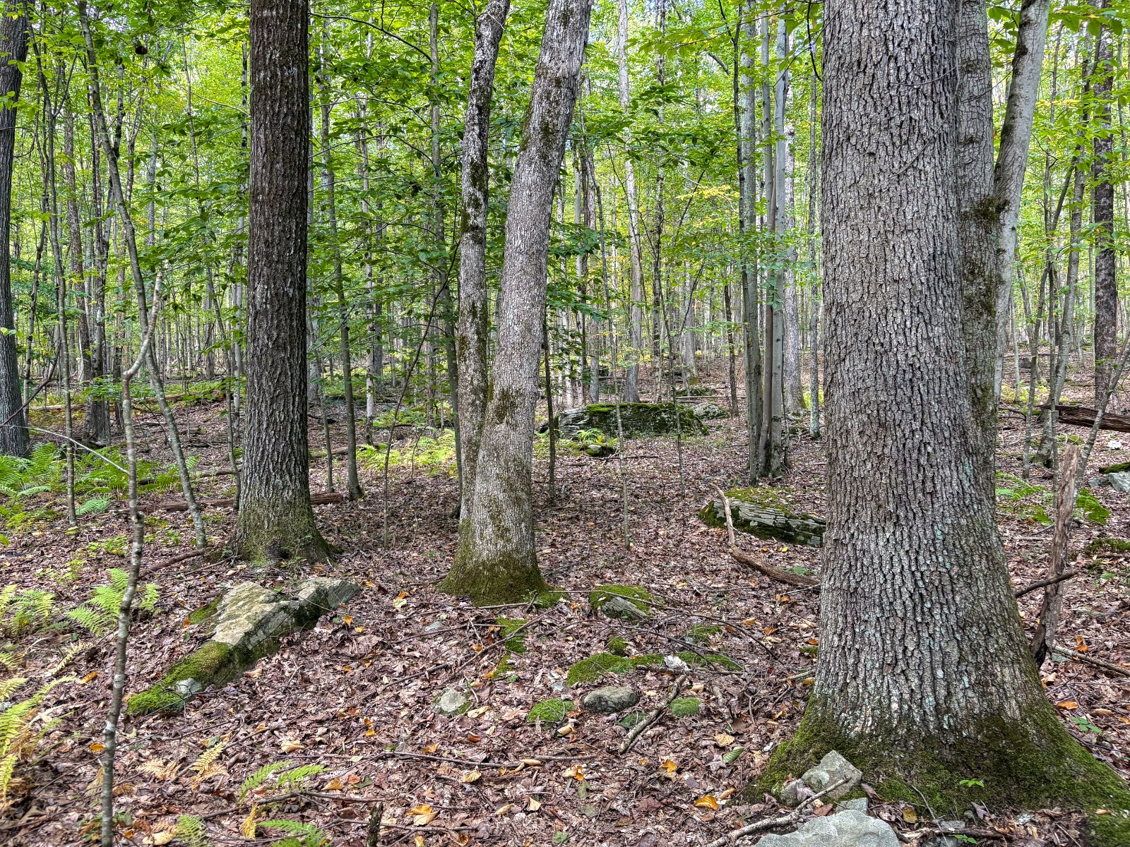 #22 photo, Private ROW off Warren Rd, Hancock , NY 13783